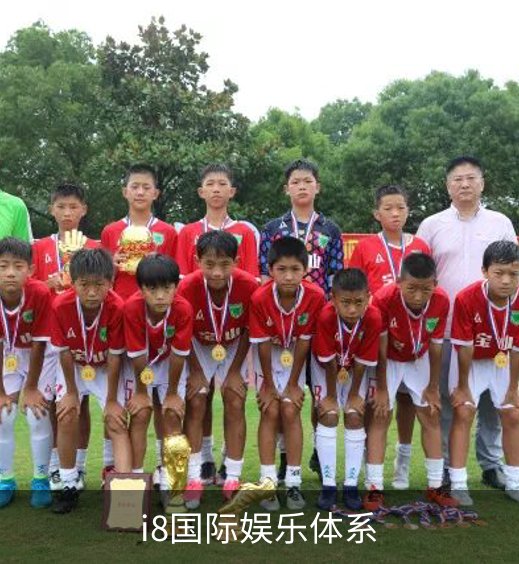i8国际娱乐体系简介
